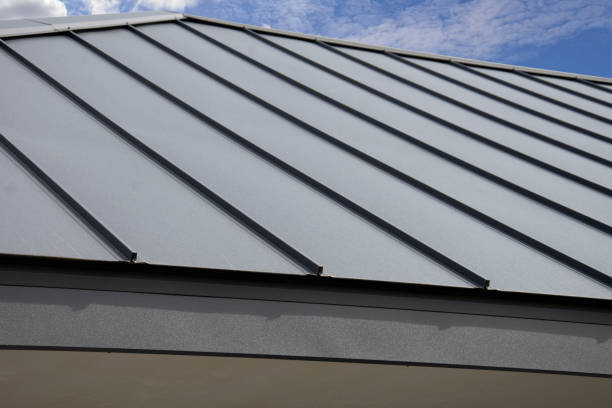 Best Skylight Installation and Repair  in Inver Grove Heights, MN